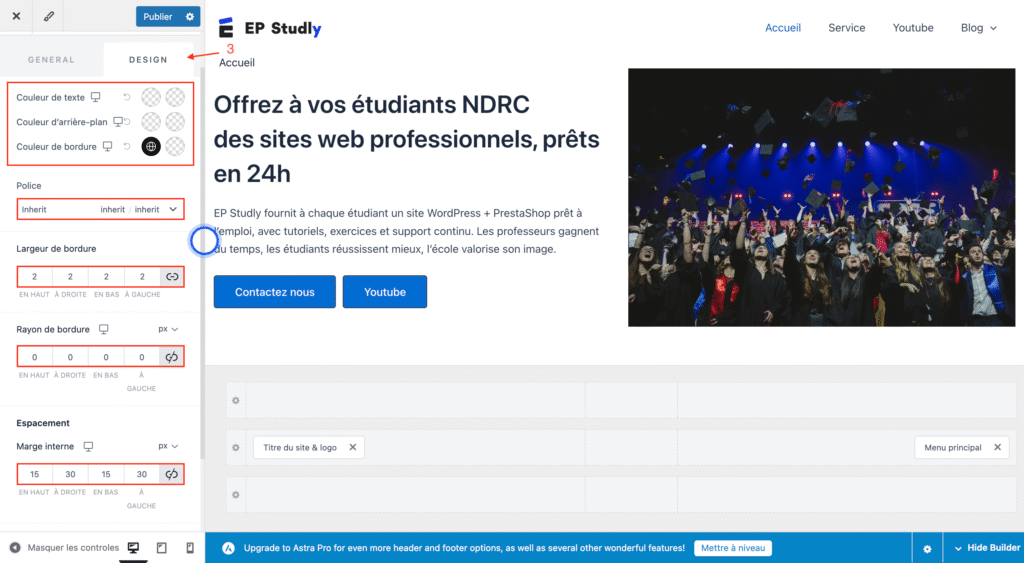 Style bouton wordpress